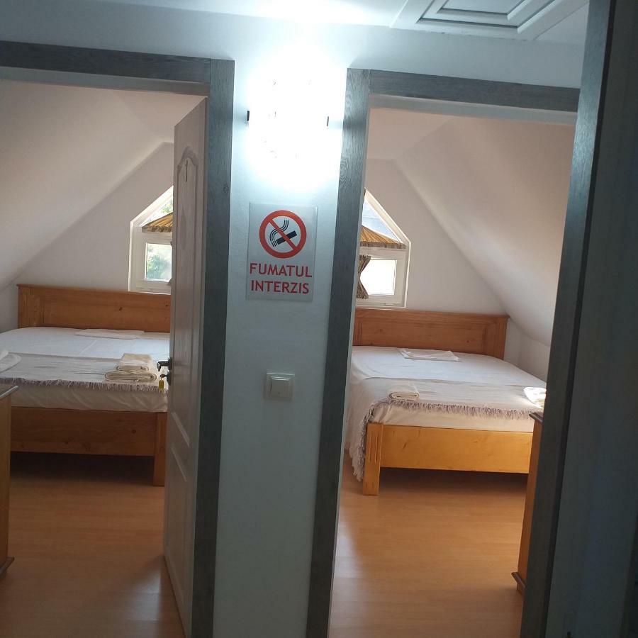 Pensiunea Casa Maria Vişeu de Sus Eksteriør billede